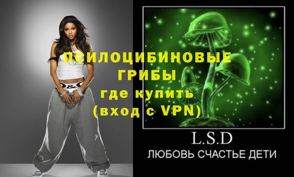 дмт Алзамай
